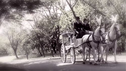 Because I Could Not Stop for Death - poem/video