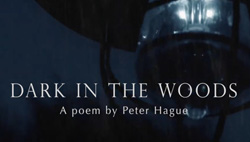 Dark in the Woods – Video